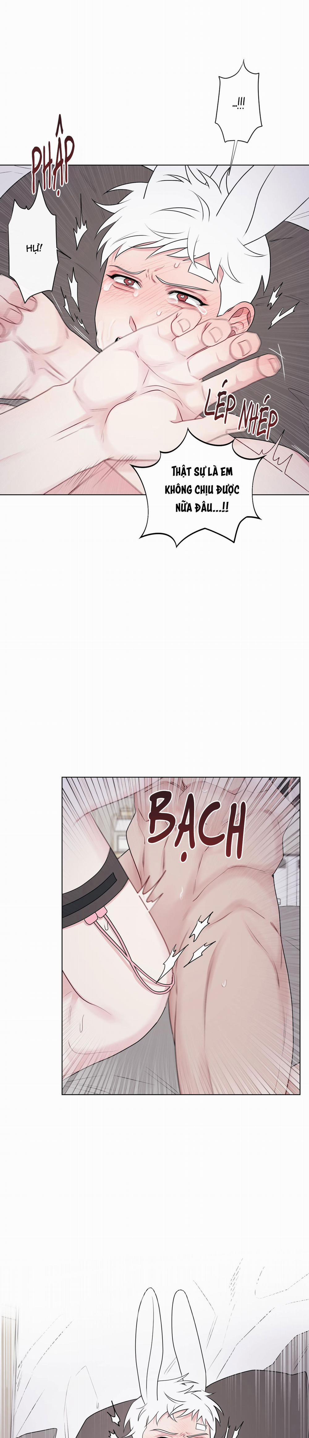 Tai Thỏ Dính Luôn Rồi 7 trang 14