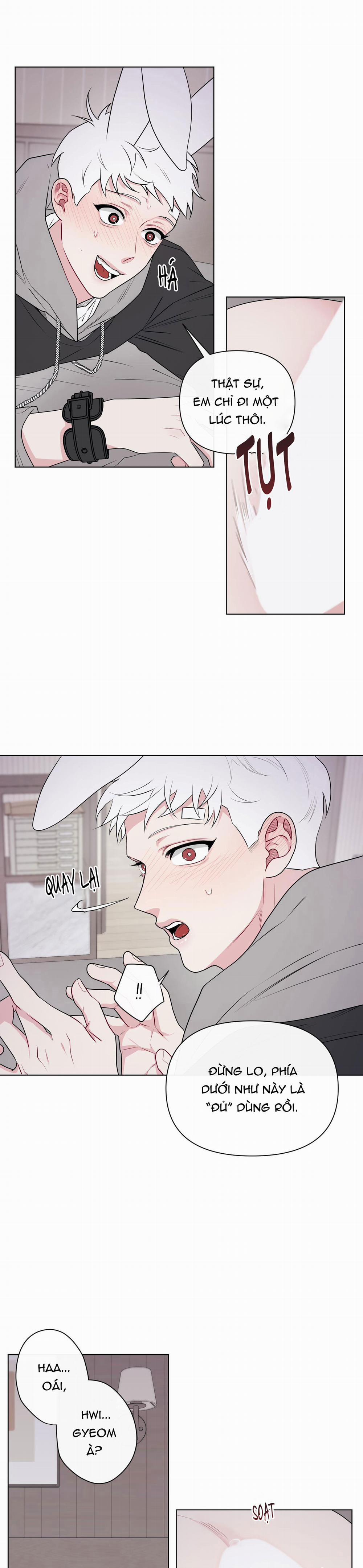 Tai Thỏ Dính Luôn Rồi 7 trang 2