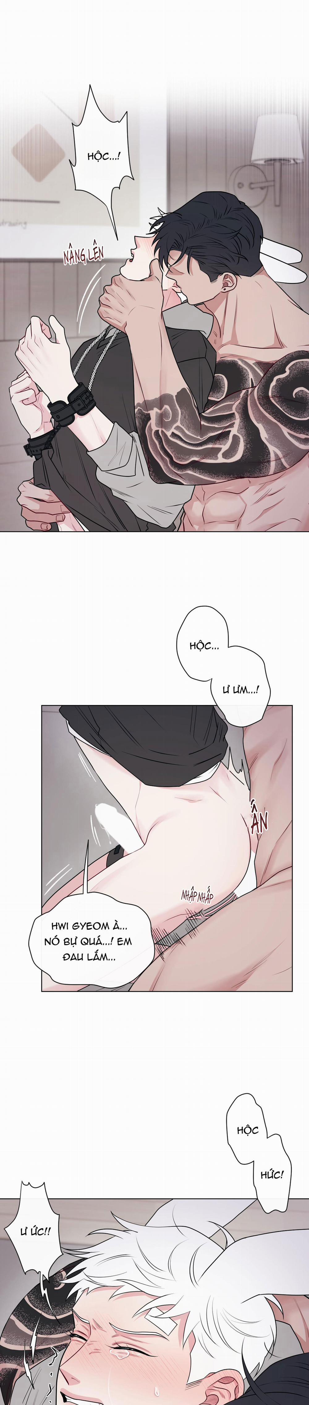 Tai Thỏ Dính Luôn Rồi 7 trang 5