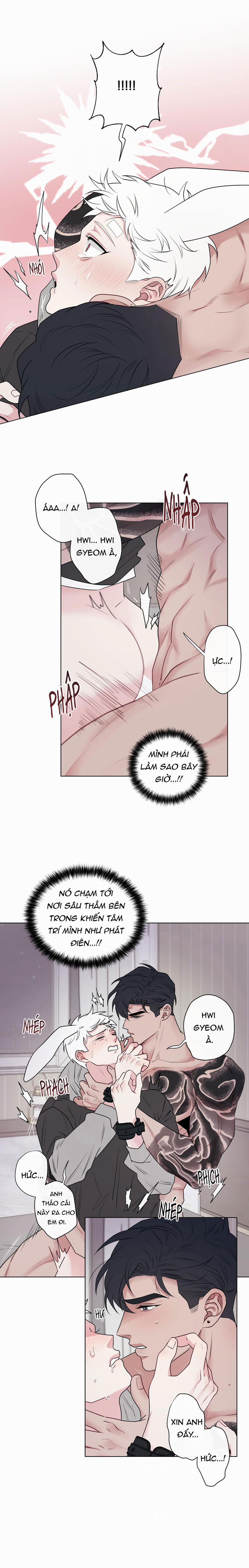 Tai Thỏ Dính Luôn Rồi 7 trang 7