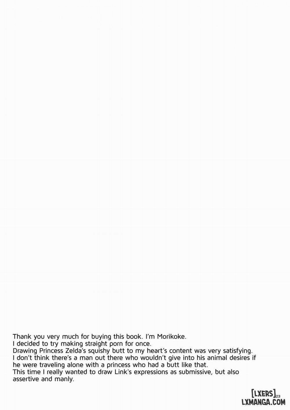 Taking Steps to Ensure Hyrule's Prosperity Oneshot trang 21