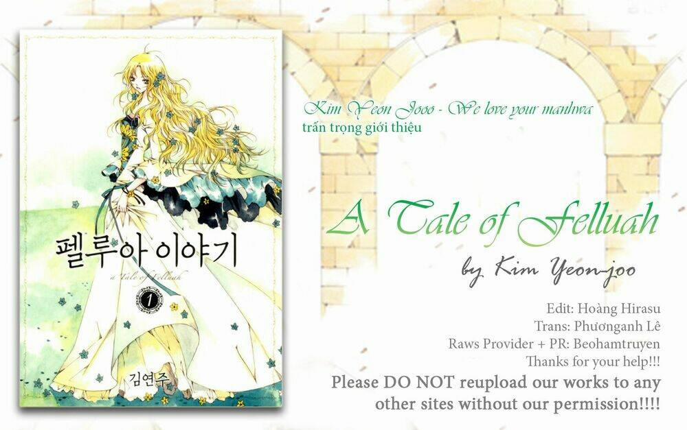 Tale Of Felluah 29 trang 0