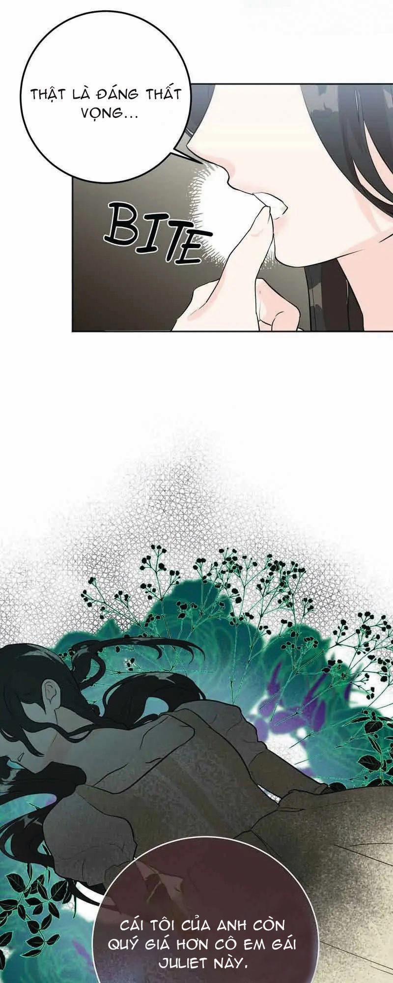 Tạm Biệt Juliet Của Ta 8.2 trang 1