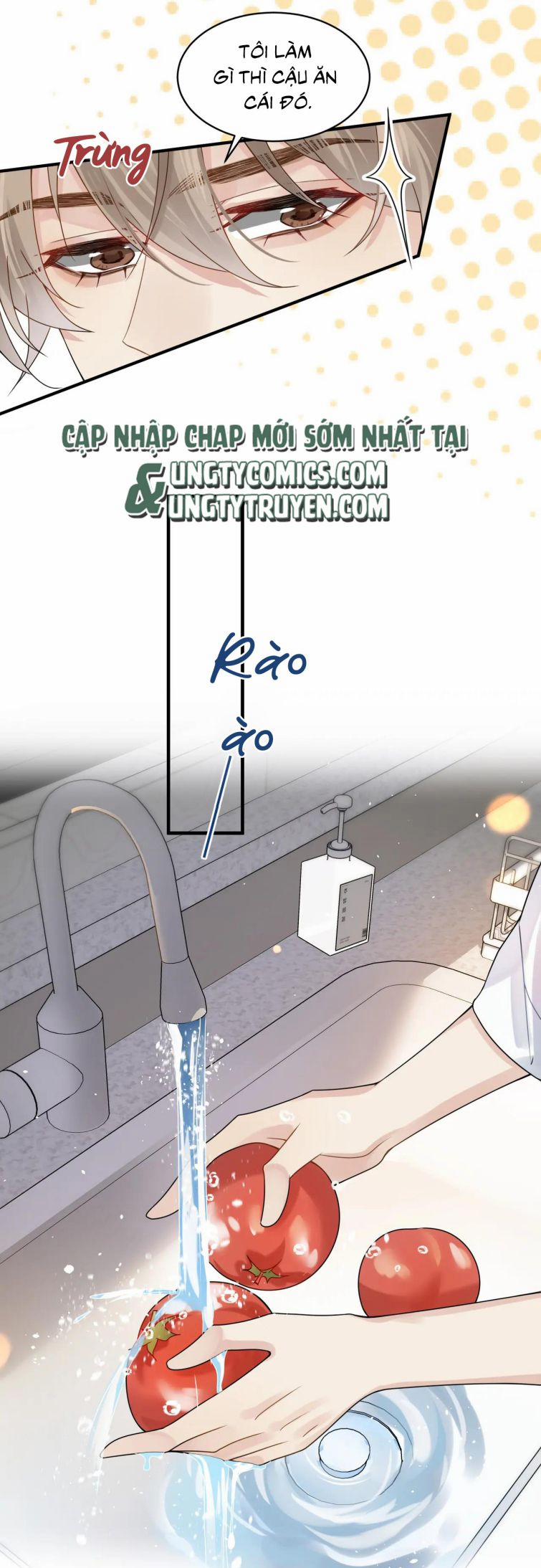 Tâm Đầu Nhục 14 trang 10
