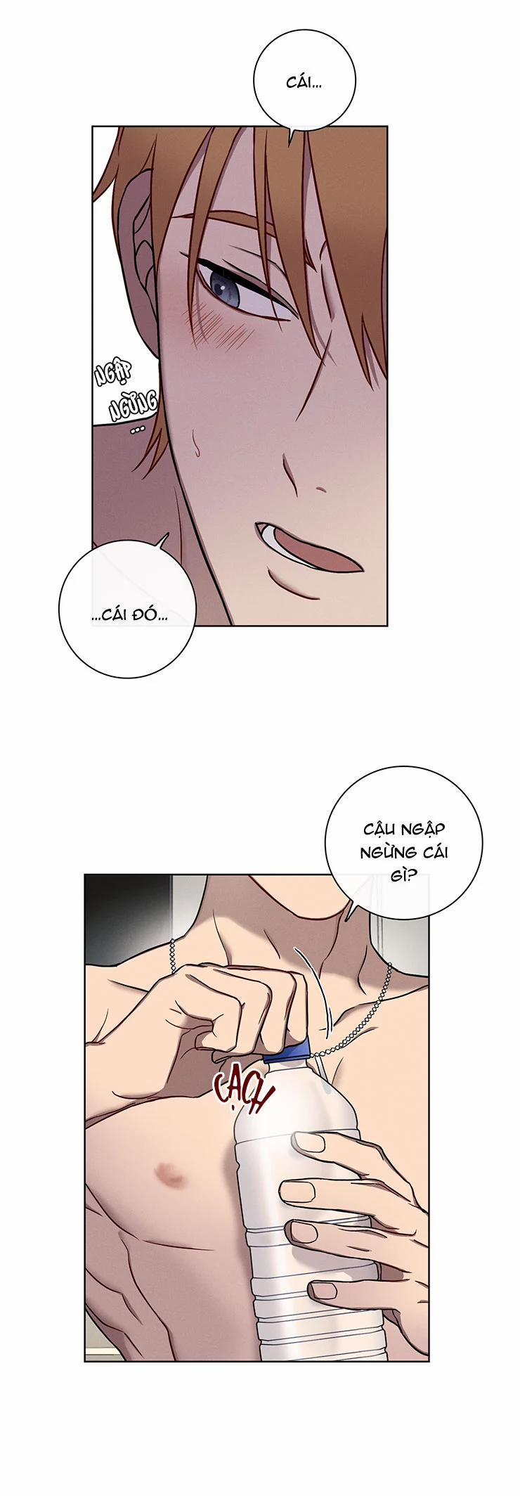 Tam Giác Tình Yêu 3 trang 16