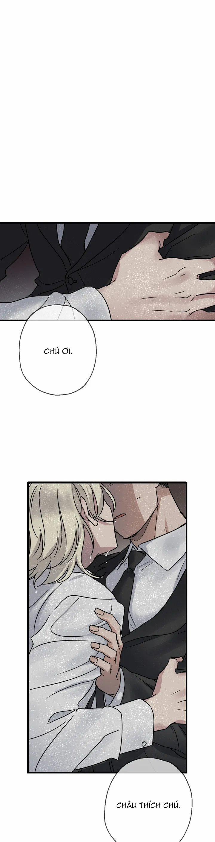 Tầm Ngắm 1 trang 19