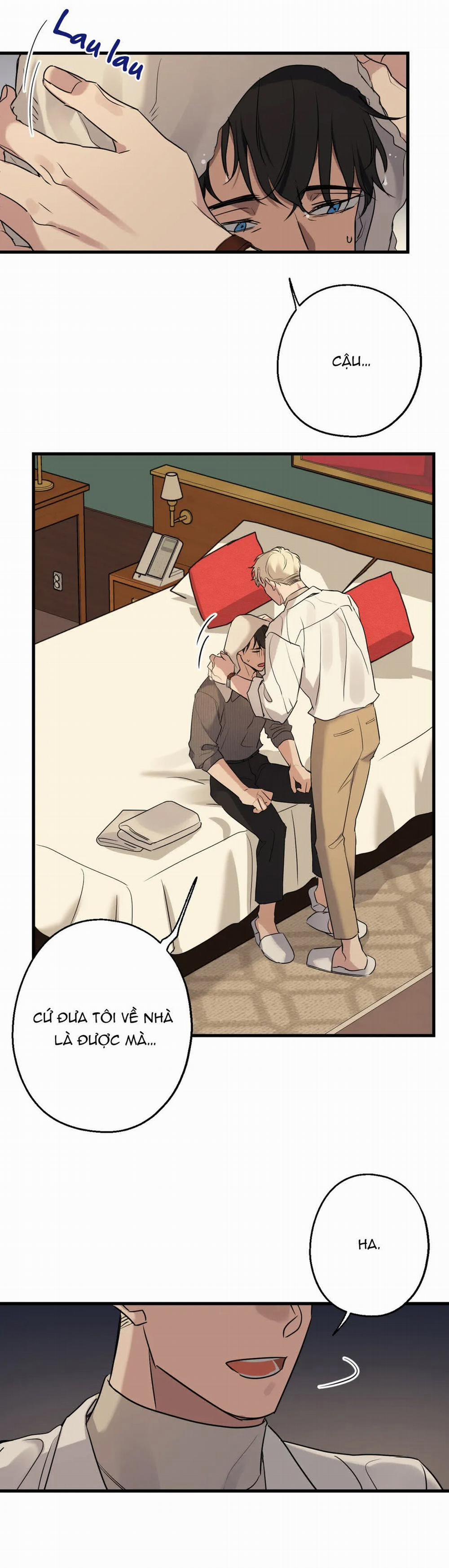 Tầm Ngắm 11 trang 1