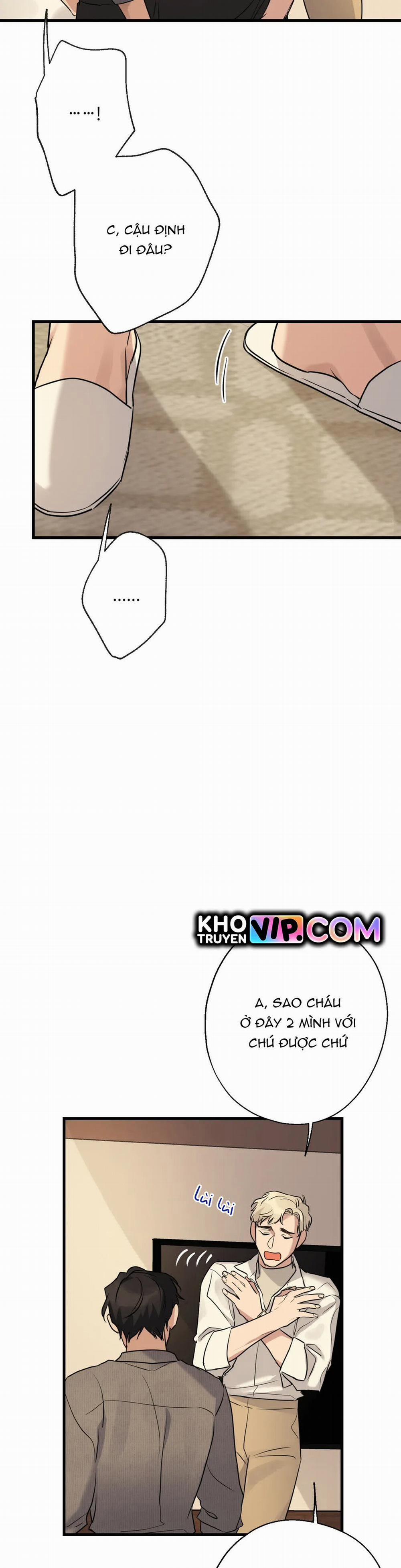 Tầm Ngắm 12 trang 16