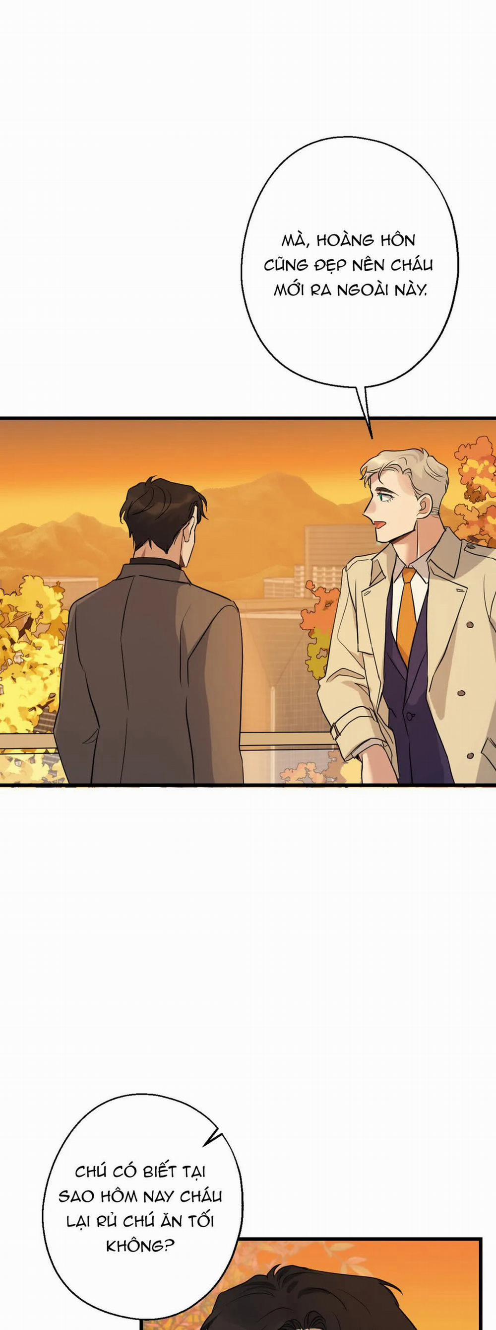 Tầm Ngắm 13 trang 17