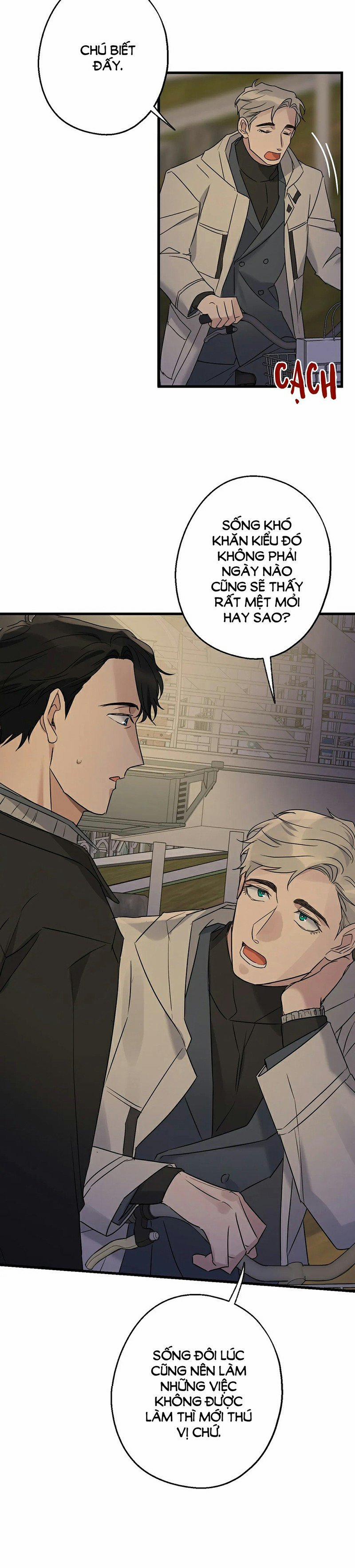 Tầm Ngắm 20 trang 16