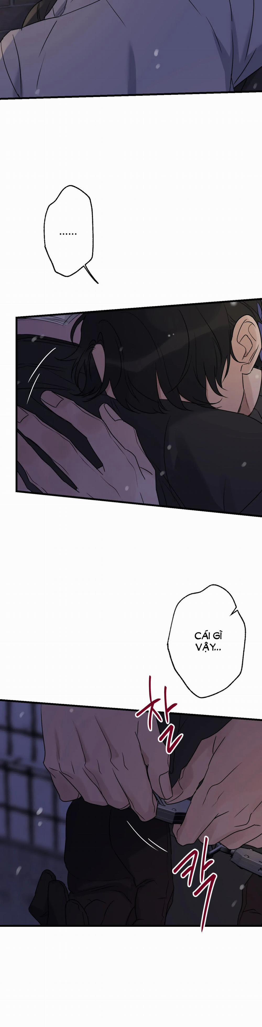 Tầm Ngắm 26 trang 26