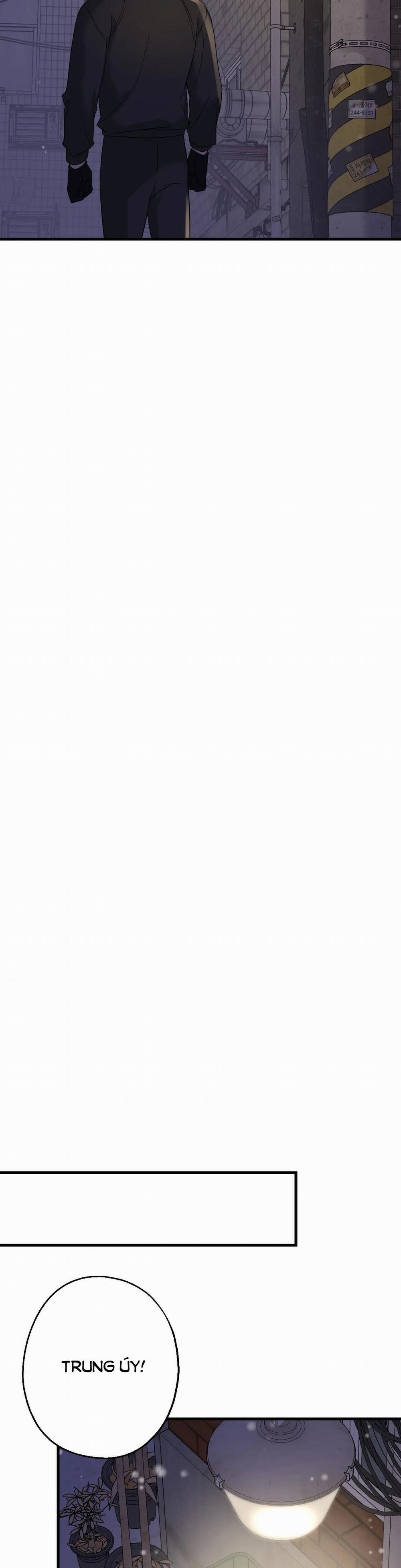 Tầm Ngắm 26 trang 38