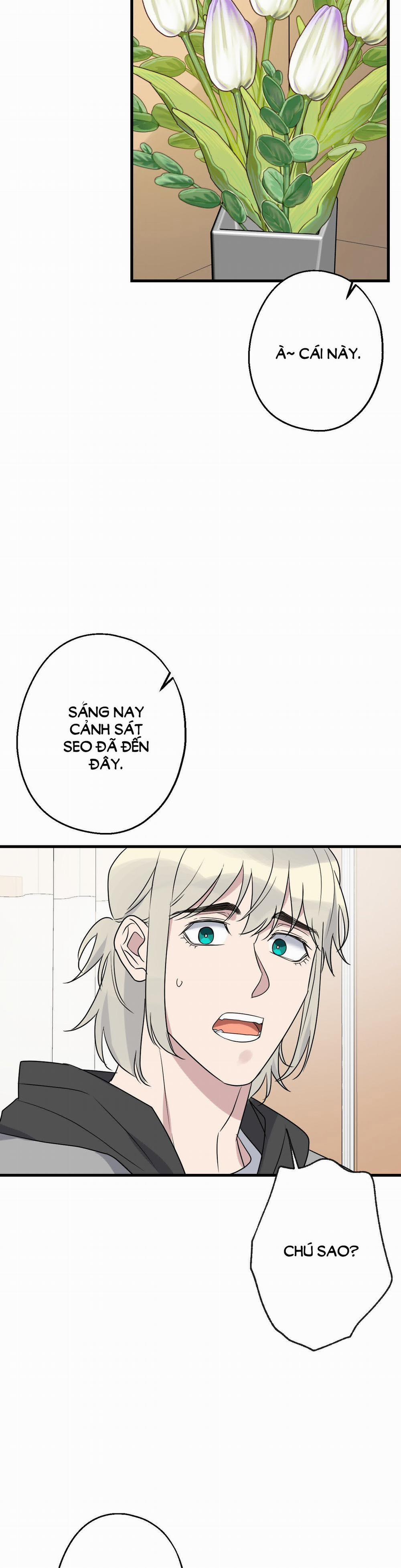 Tầm Ngắm 29 trang 21