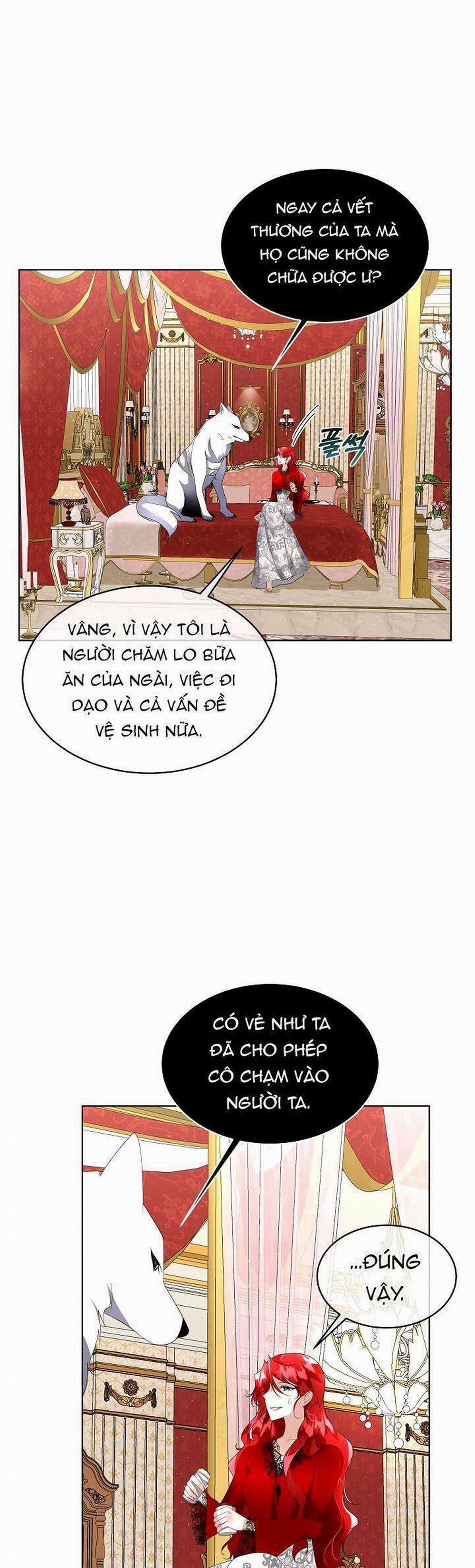 Tạm Thời Tôi Sẽ Bảo Vệ Nam Chính 12 trang 11