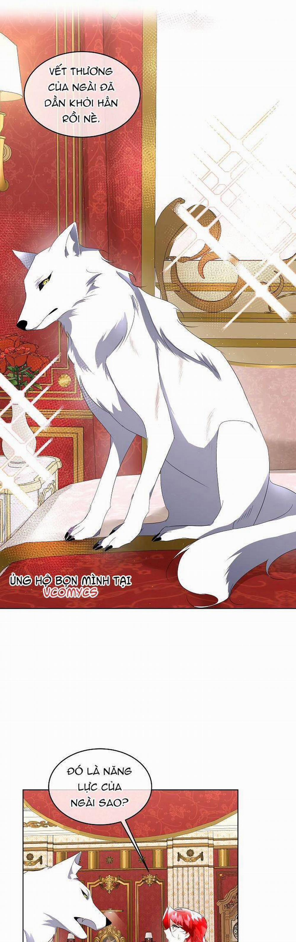 Tạm Thời Tôi Sẽ Bảo Vệ Nam Chính 12 trang 15