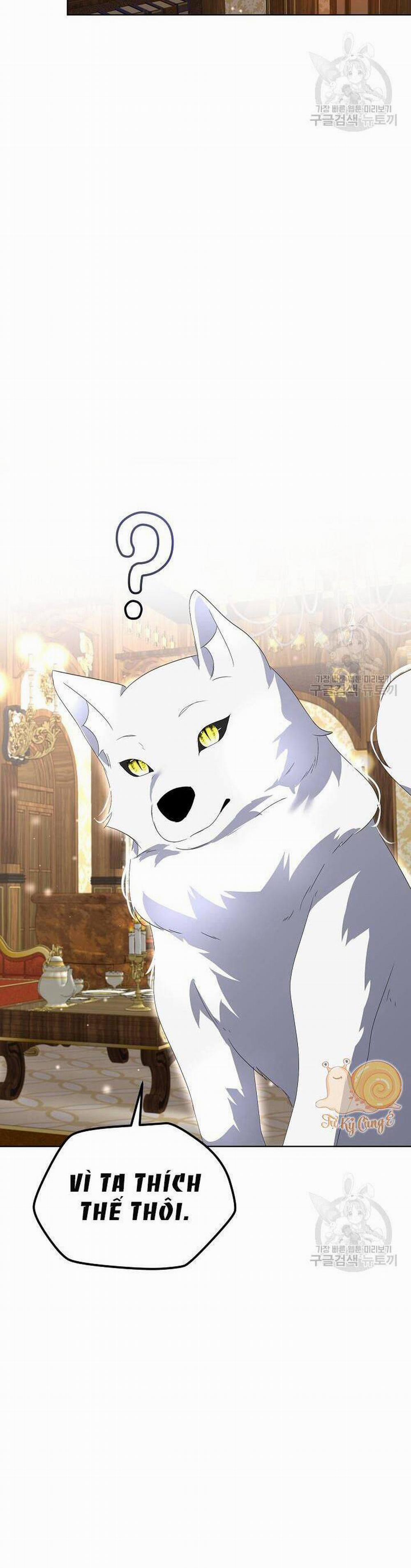 Tạm Thời Tôi Sẽ Bảo Vệ Nam Chính 39 trang 21