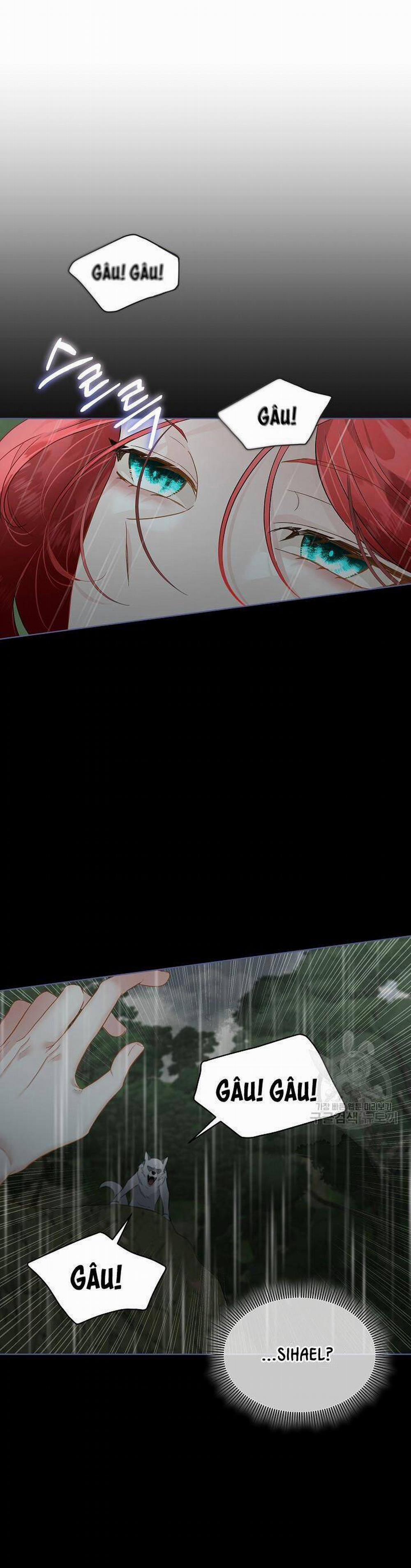 Tạm Thời Tôi Sẽ Bảo Vệ Nam Chính 47 trang 0