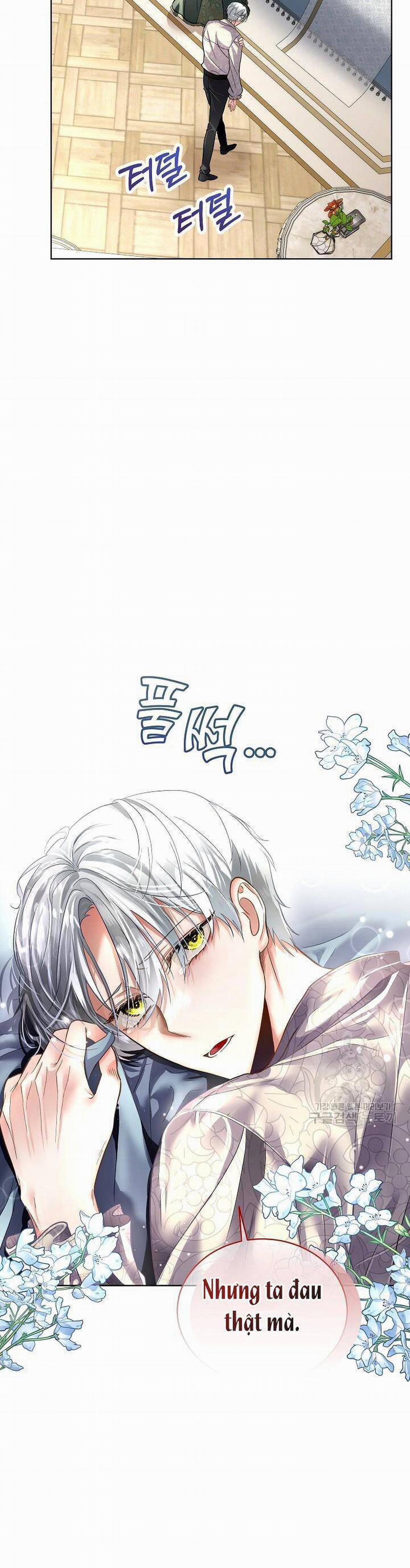 Tạm Thời Tôi Sẽ Bảo Vệ Nam Chính 52 trang 16