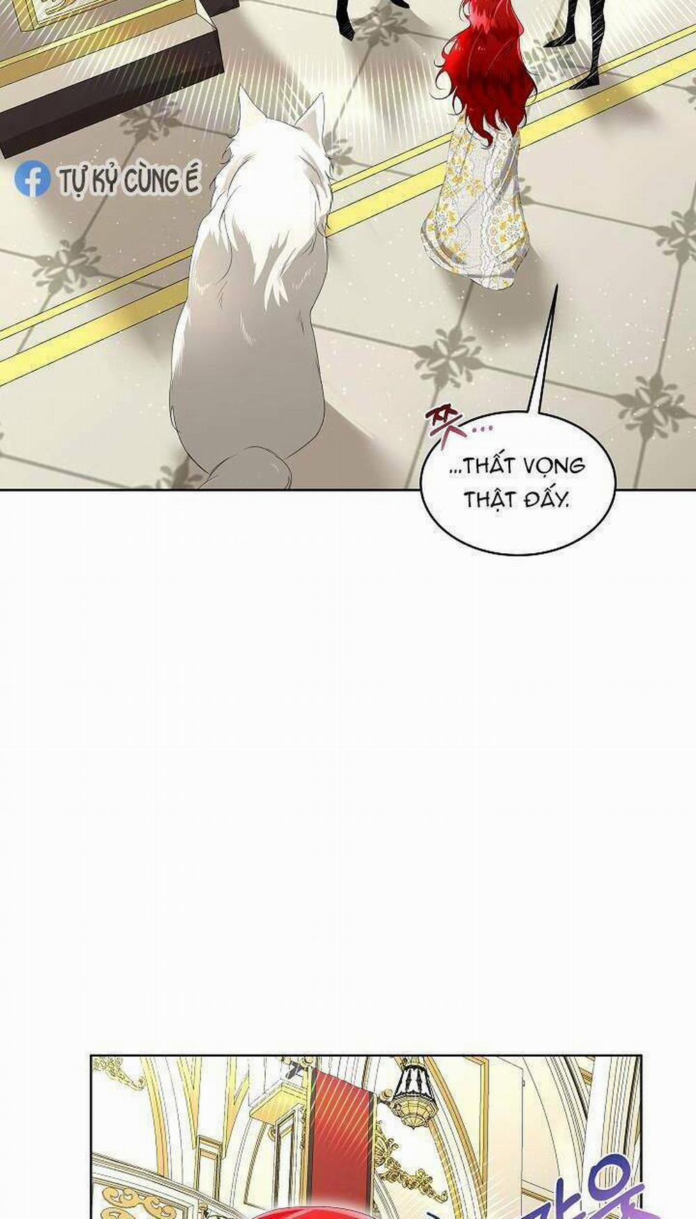 Tạm Thời Tôi Sẽ Bảo Vệ Nam Chính 7 trang 14