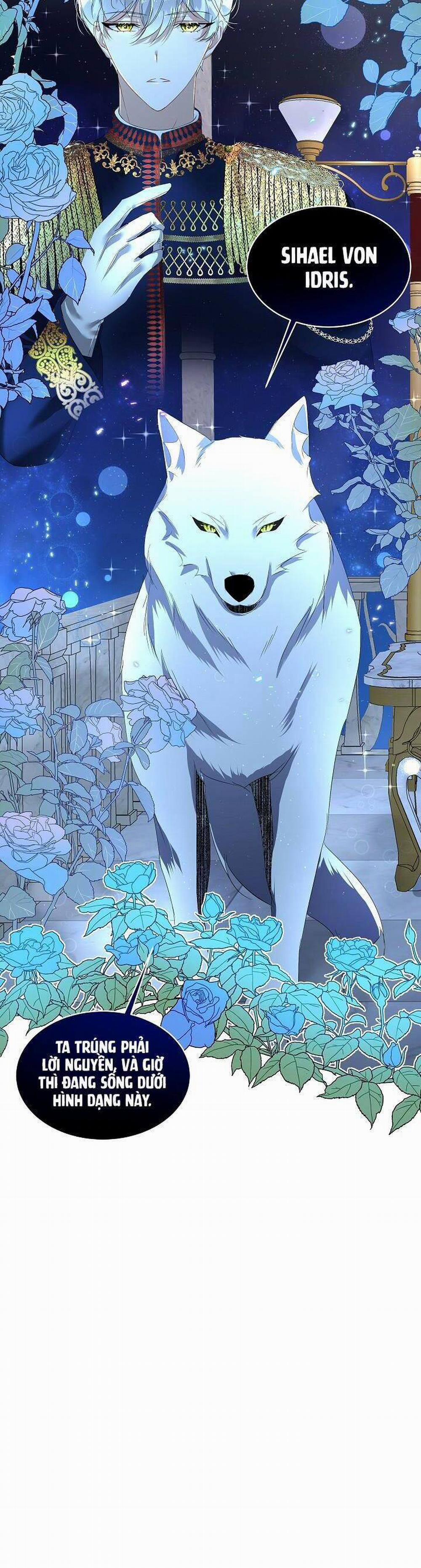 Tạm Thời Tôi Sẽ Bảo Vệ Nam Chính 9 trang 39