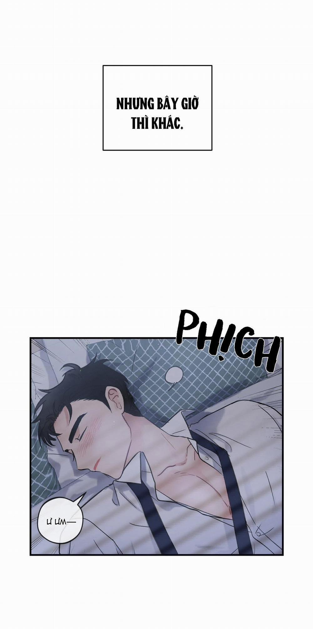 Tầm Thường Nhưng Là Yêu 1 trang 11