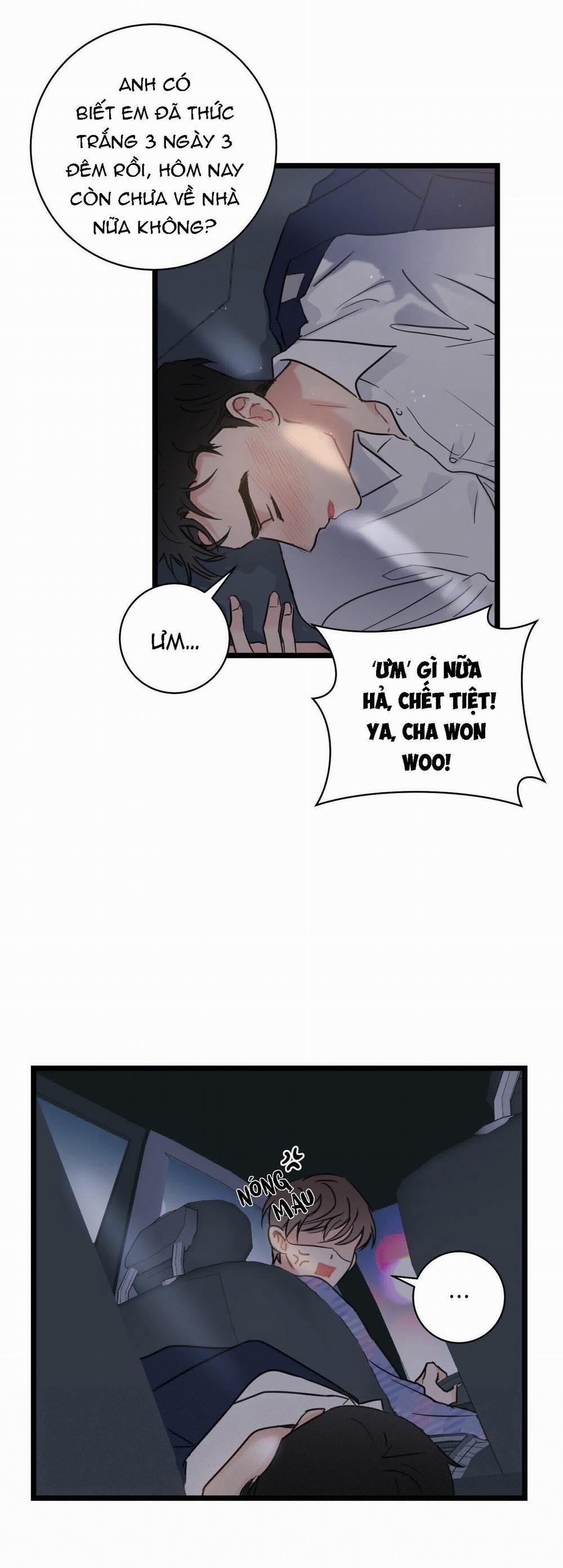 Tầm Thường Nhưng Là Yêu 1 trang 7