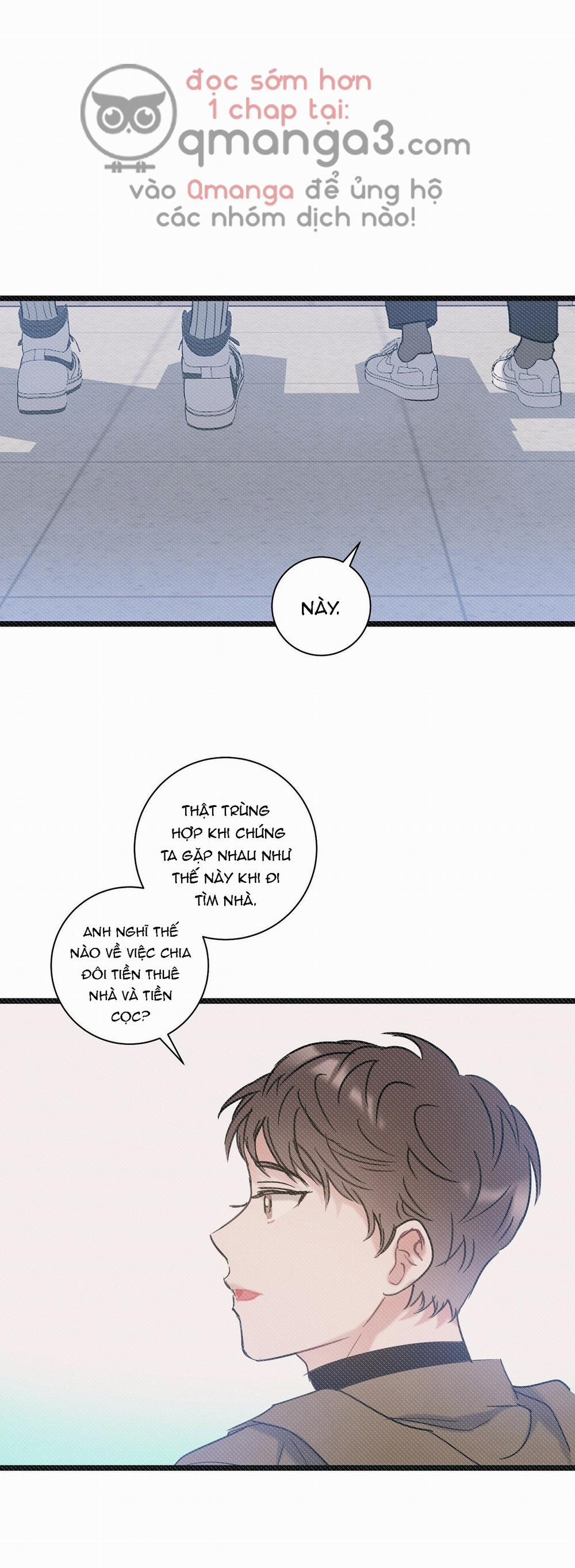 Tầm Thường Nhưng Là Yêu 2 trang 0