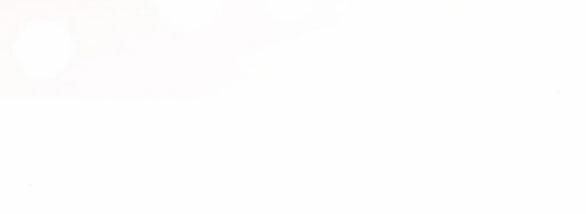 Tân Hôn Mệt Mỏi Của Trưởng Phòng 34.2 trang 50