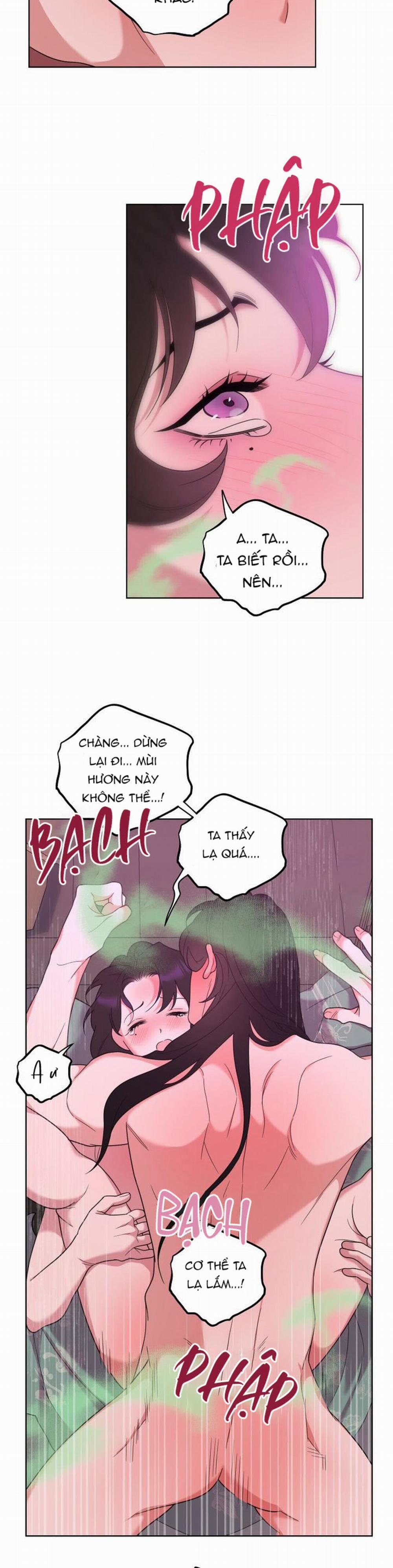 Tân Lang Trẻ 3 trang 20