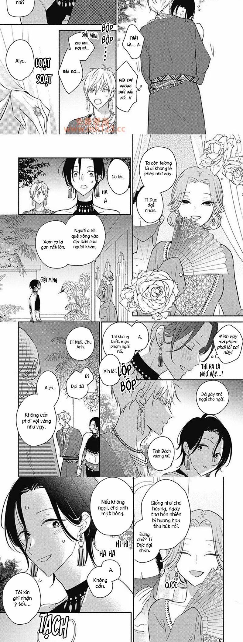 Tân Nương Vận Mệnh An Bài 11 trang 4