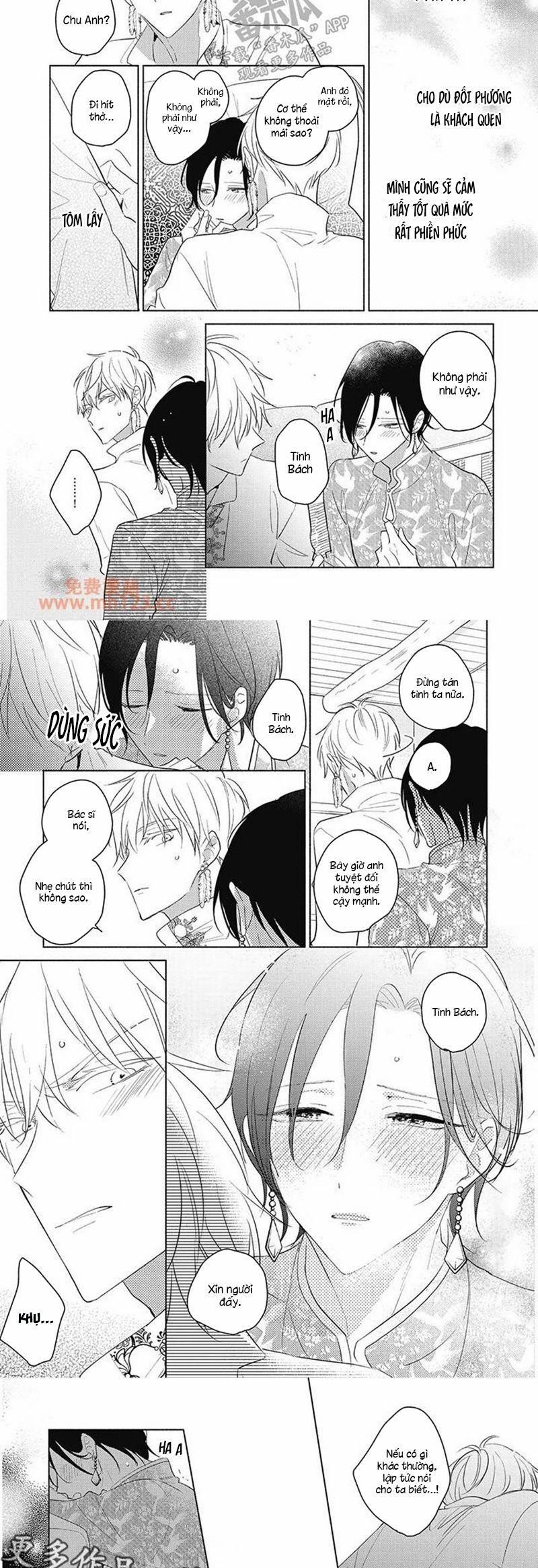 Tân Nương Vận Mệnh An Bài 19 trang 1