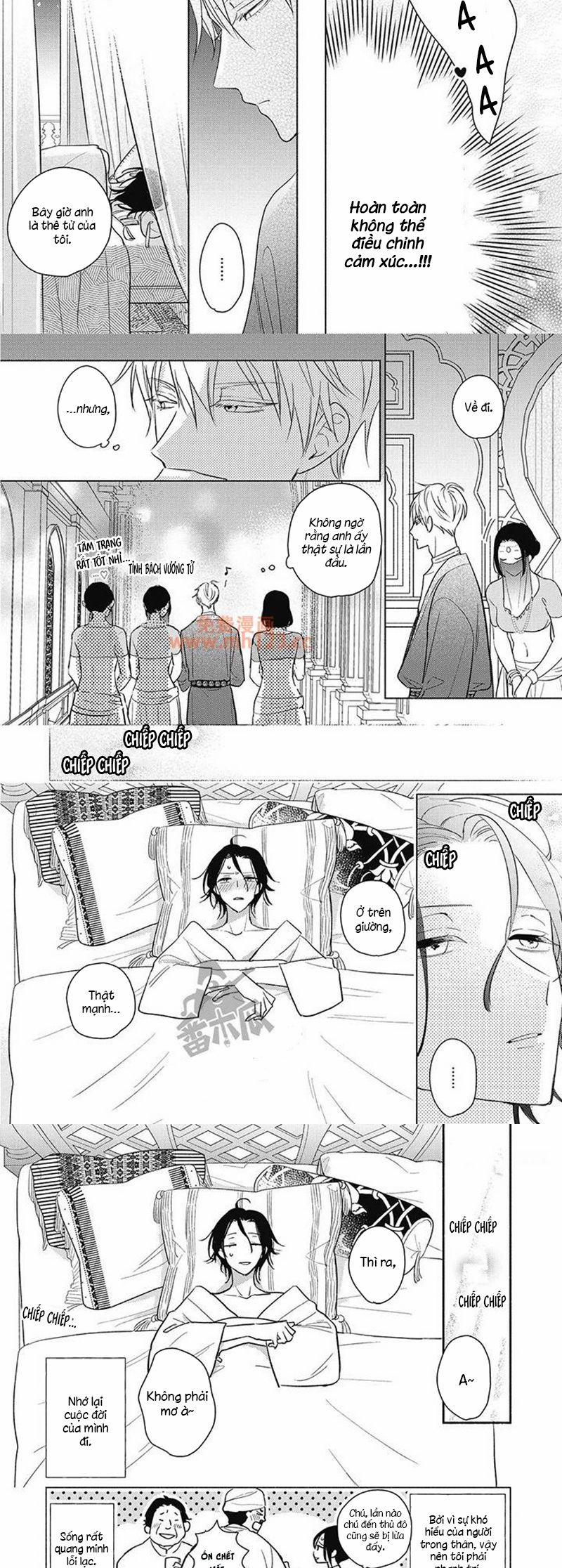 Tân Nương Vận Mệnh An Bài 4 trang 1