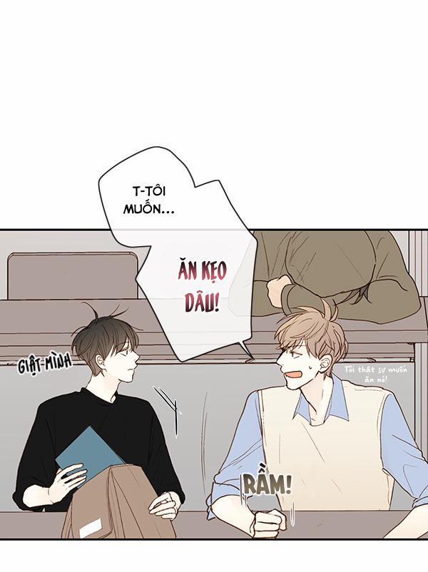 Táo (TĐTX) 11 trang 43