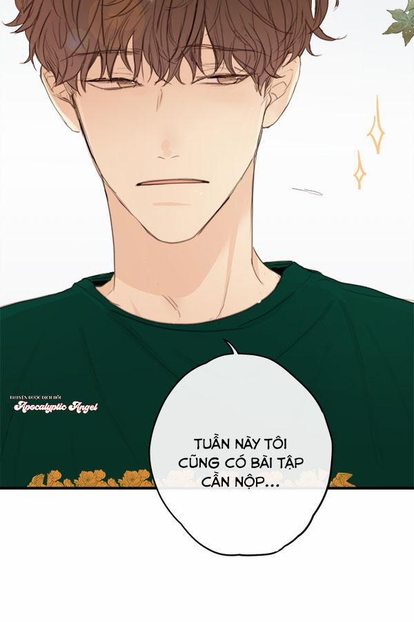 Táo (TĐTX) 13 trang 36