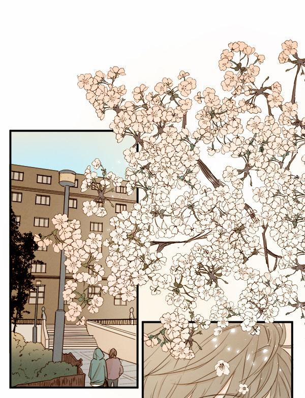 Táo (TĐTX) 13 trang 48