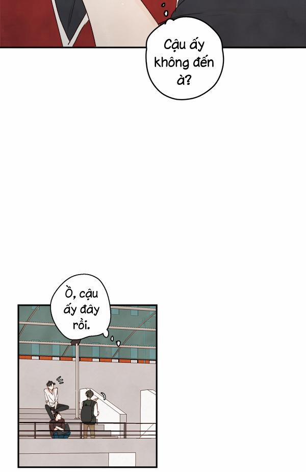 Táo (TĐTX) 18 trang 13