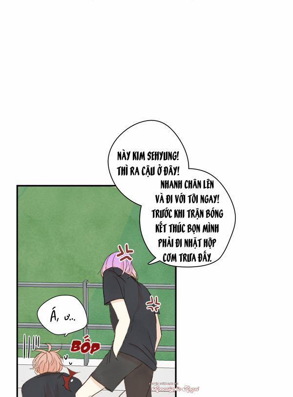 Táo (TĐTX) 18 trang 47