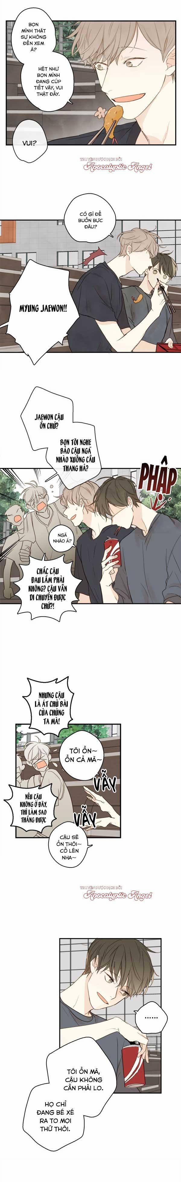 Táo (TĐTX) 19 trang 12