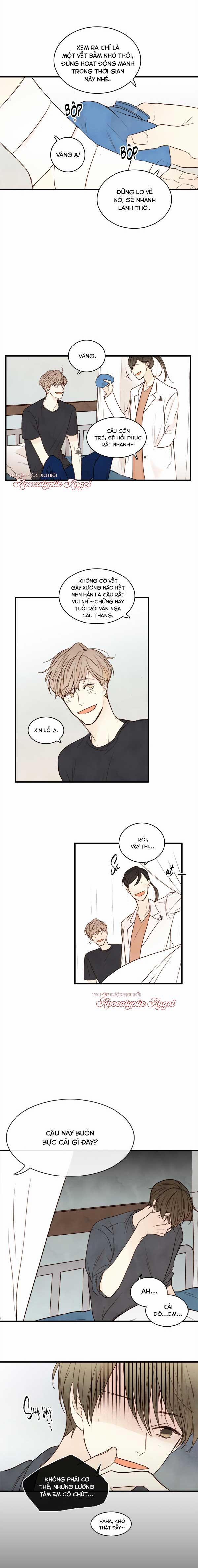 Táo (TĐTX) 19 trang 3