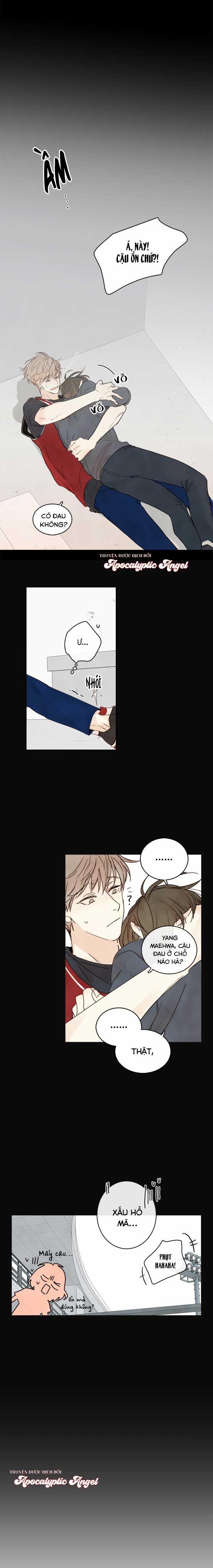 Táo (TĐTX) 19 trang 6