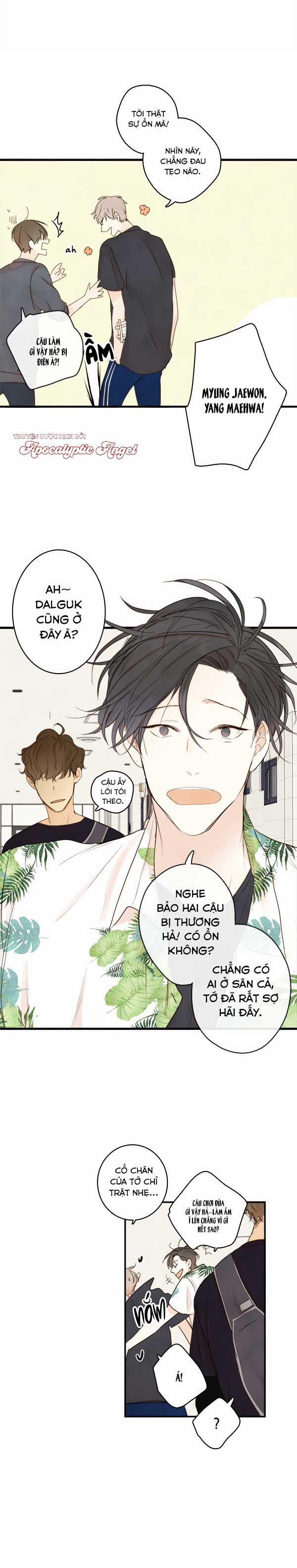 Táo (TĐTX) 19 trang 8