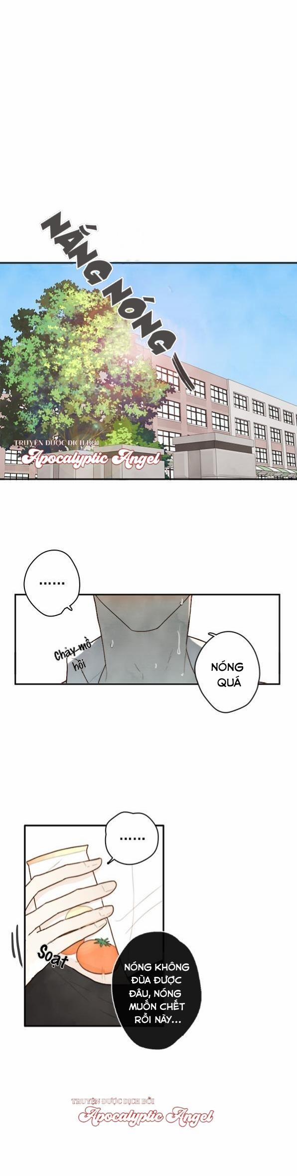 Táo (TĐTX) 2 trang 1