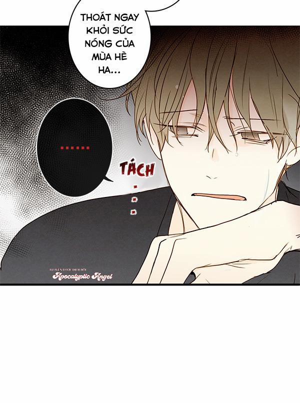 Táo (TĐTX) 20 trang 14