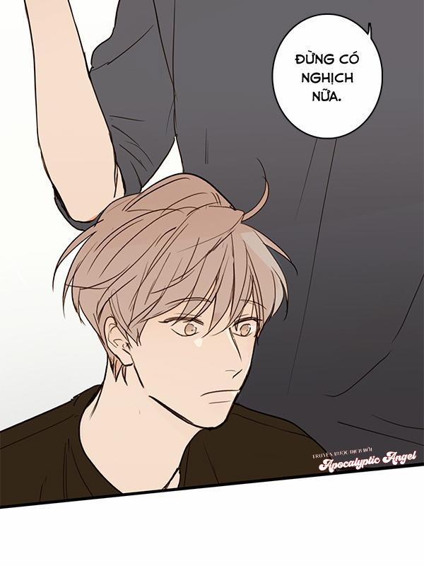 Táo (TĐTX) 20 trang 25