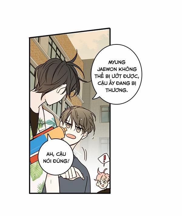 Táo (TĐTX) 20 trang 26