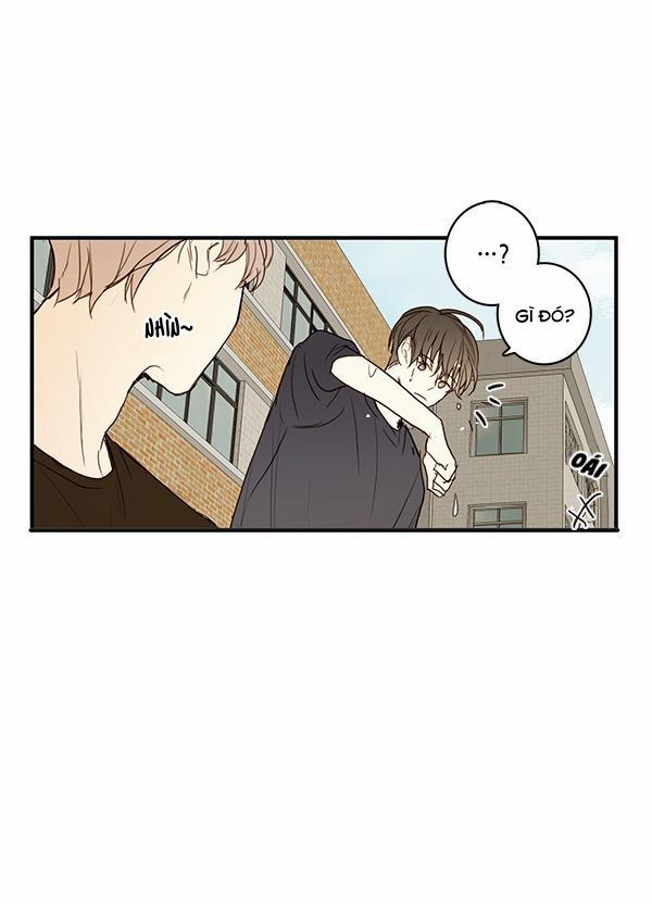 Táo (TĐTX) 20 trang 29