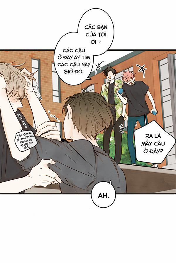 Táo (TĐTX) 20 trang 9