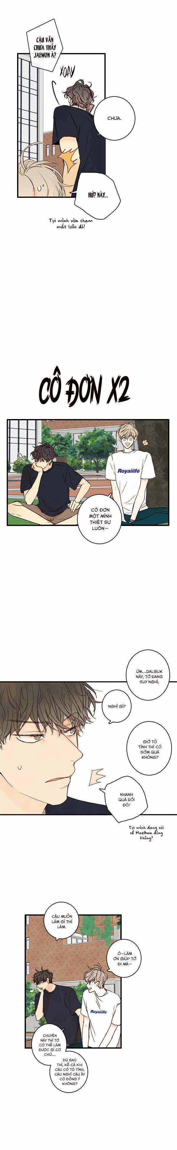 Táo (TĐTX) 21 trang 13