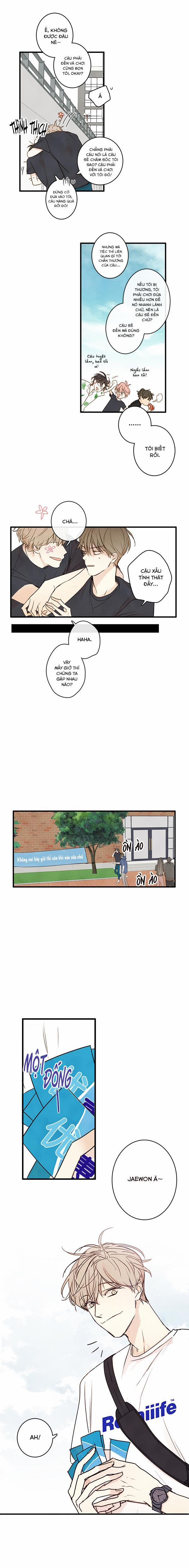 Táo (TĐTX) 21 trang 9