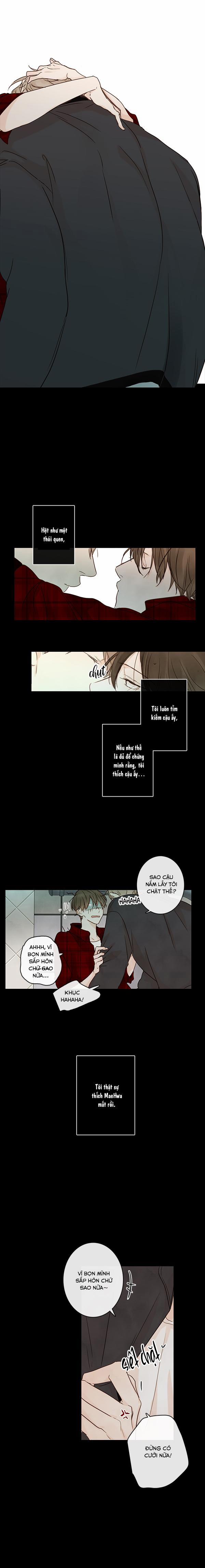 Táo (TĐTX) 23 trang 14